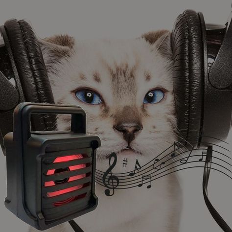 Parlante Portatil Bocina Bluetooth Radio Fm Usb Sd Rondon-7
