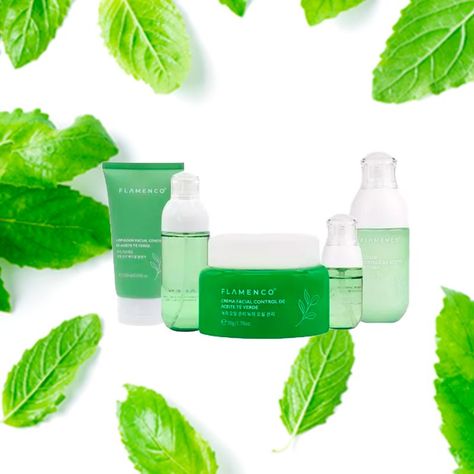 Kit SkinCare Facial Calmante Hidratante Te verde Piel Grasa-3