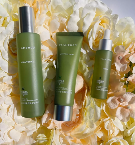 Kit SkinCare Astringente Seboregulador Piel Grasa -2