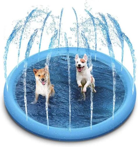 Juguetes Perros Piscina Juguetes Aire libre Diversion Rondon-0