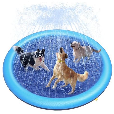 Juguetes Perros Piscina Juguetes Aire libre Diversion Rondon-1