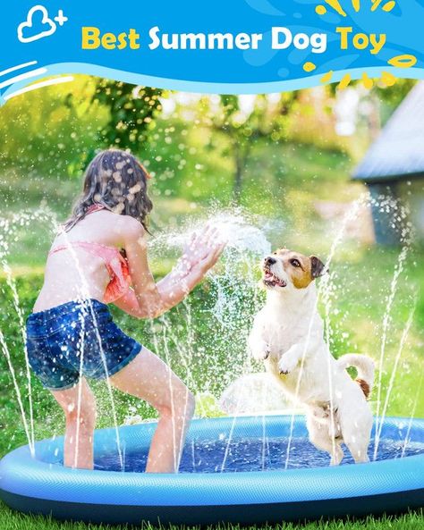 Juguetes Perros Piscina Juguetes Aire libre Diversion Rondon-2