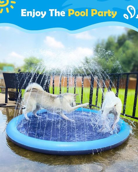 Juguetes Perros Piscina Juguetes Aire libre Diversion Rondon-5