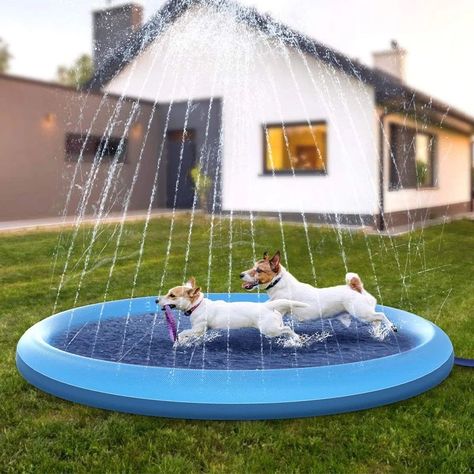 Juguetes Perros Piscina Juguetes Aire libre Diversion Rondon-7