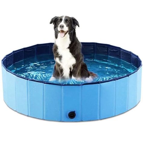 Juguete Piscina Plegable Portátil PVC Mascotas Perros Rondon-1
