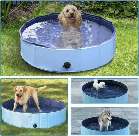 Juguete Piscina Plegable Portátil PVC Mascotas Perros Rondon-2