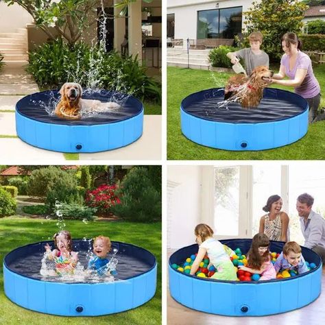 Juguete Piscina Plegable Portátil PVC Mascotas Perros Rondon-6