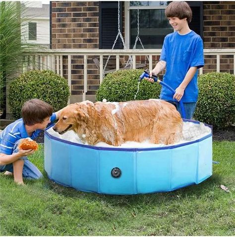 Juguete Piscina Plegable Portátil PVC Mascotas Perros Rondon-7