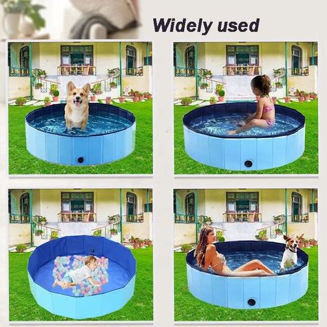 Juguete Piscina Plegable Portátil PVC Mascotas Perros Rondon-9