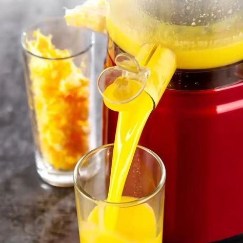 Exprimidor Prensado Frío Extractor Jugo Lenta Jhn-3