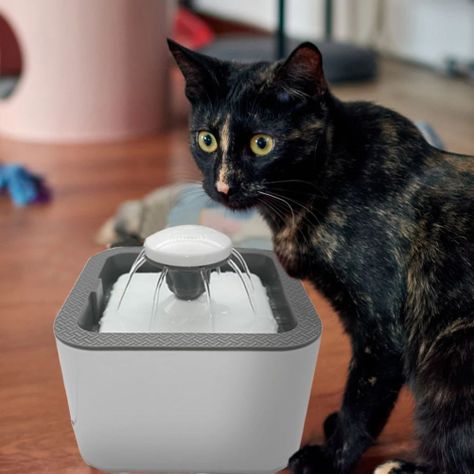 Bebedor Gatos Perros Eléctrico Usb Mascota Fuente Rondon-6