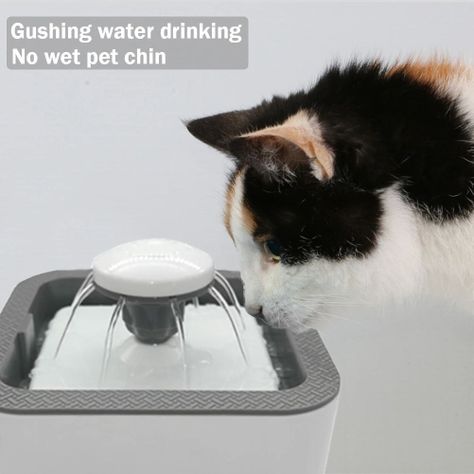 Bebedor Gatos Perros Eléctrico Usb Mascota Fuente Rondon-7