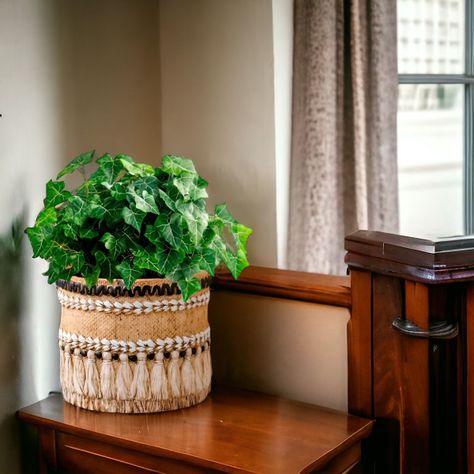Maceta Decorativa Vintage Jardín Arcilla Textura Jhn-4