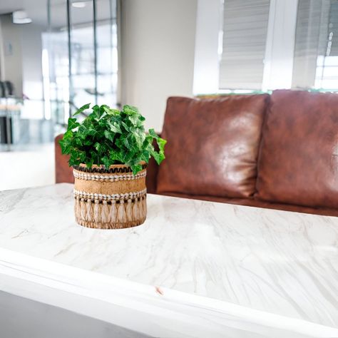 Maceta Decorativa Vintage Jardín Arcilla Textura Jhn-7