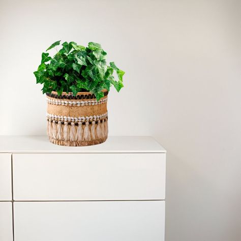 Maceta Decorativa Vintage Jardín Arcilla Textura Jhn-8