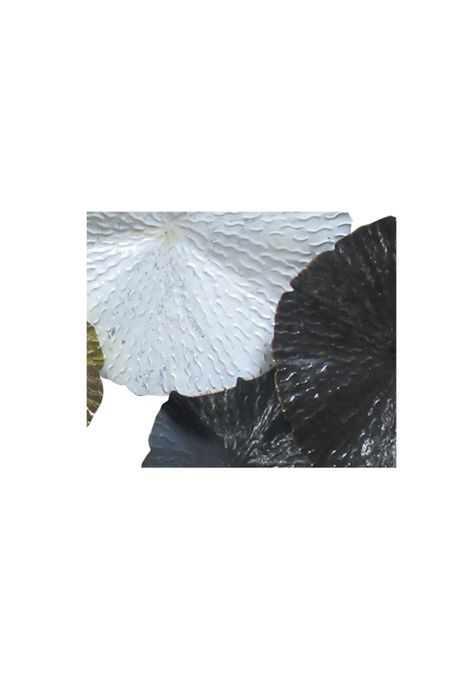 Mural Decorativo 10 Círculos 90x49 cms-1