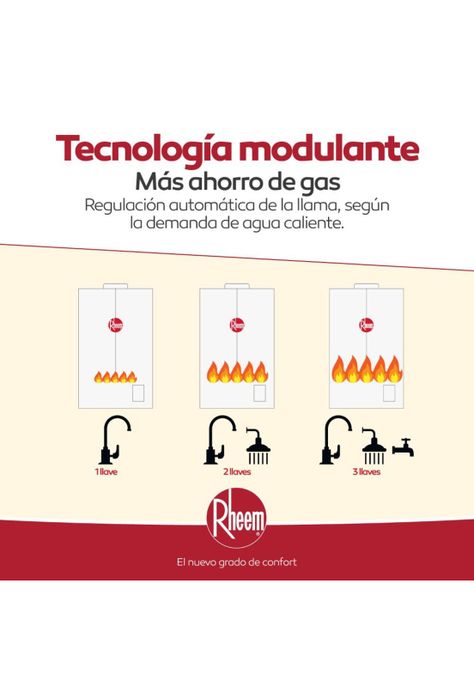 Calefon Tiro Natural 11 L Gas Natural Rheem-2