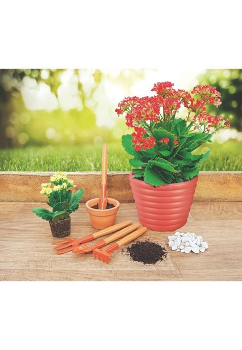 Kit para jardin 4 piezas, mangos madera Tramontina-2