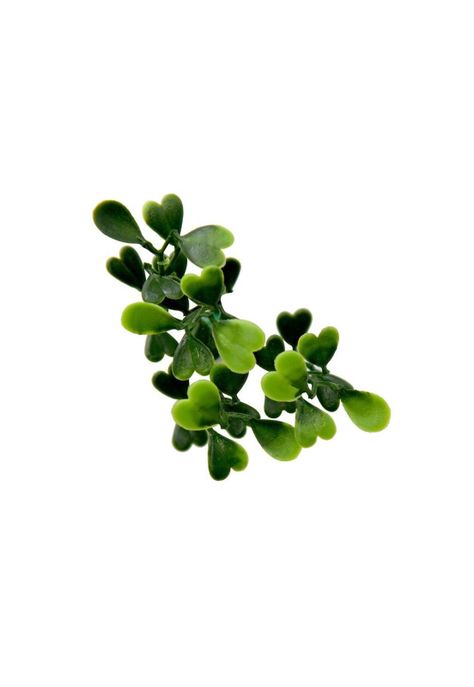 Jardin Vertical Cochamo HBFA01 Signet-1