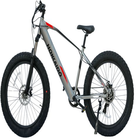 E-Bike Hokkaido Rueda Ancha Gris-0