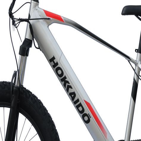 E-Bike Hokkaido Rueda Ancha Gris-1