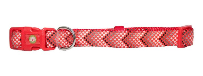 Collar Perro Puntitos L Rojo Mascan-0