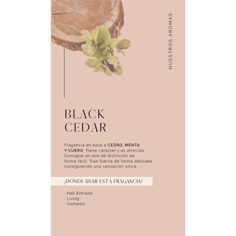 Difusor Ámbar 150 Ml + Refill 500 Ml Black Cedar Madison-1
