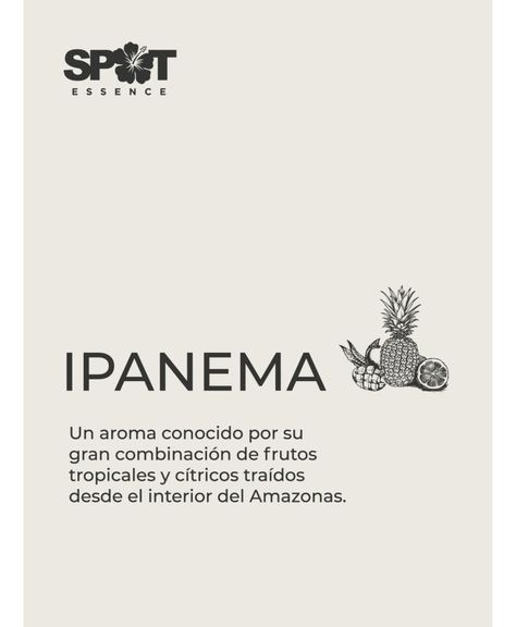 Home Spray LH 500ml Ambar Ipanema Spot Essence-1