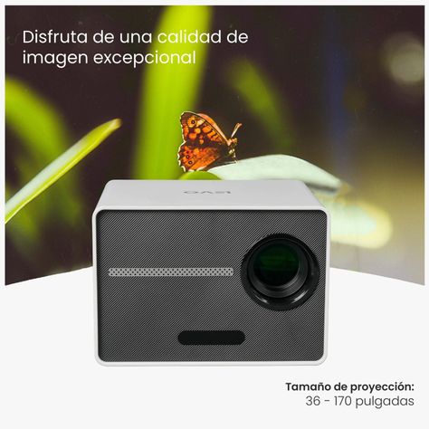 Pack Proyector HALO + Telón Mural 80" LEVO-3