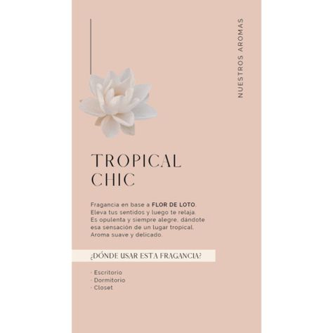 Crema Humectante 500 Ml Tropical Chic Negro Madison-1
