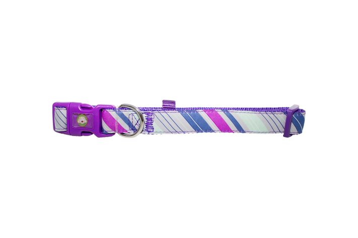 Collar Perro Diagonal L Morado Mascan-0