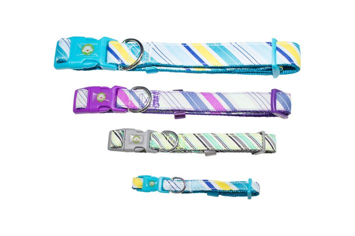 Collar Perro Diagonal L Morado Mascan-2