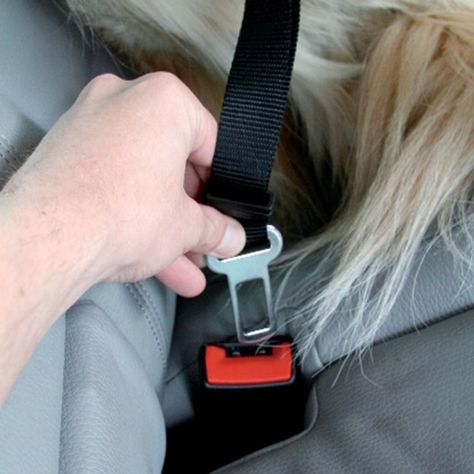 Arnés Multiuso Negro Para Perro XS Mascan-5