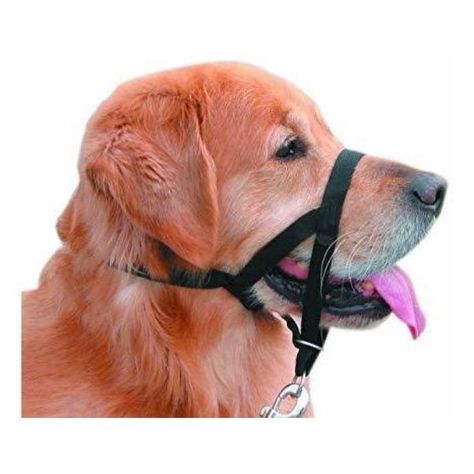Cabestro Nylon Anti-pull Negro Perro Talla Xs Mascan-0