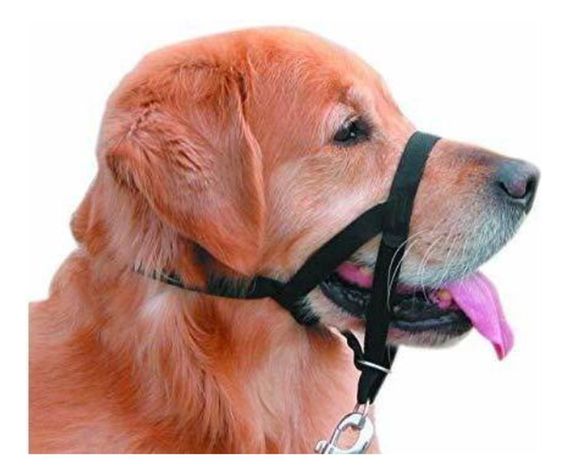 Collar Nylon Anti-pull Negro Perro Talla Xs Mascan-0
