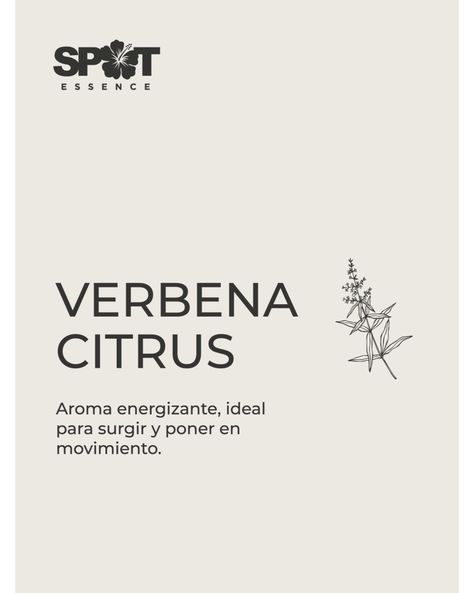 Home Spray LH 500ml Ambar Verbena Citrus Spot Essence-1