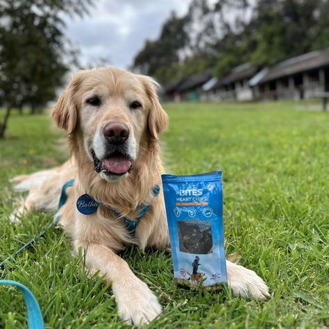 Snack Para Perros Heart Chips Sin aditivos South Bites-2