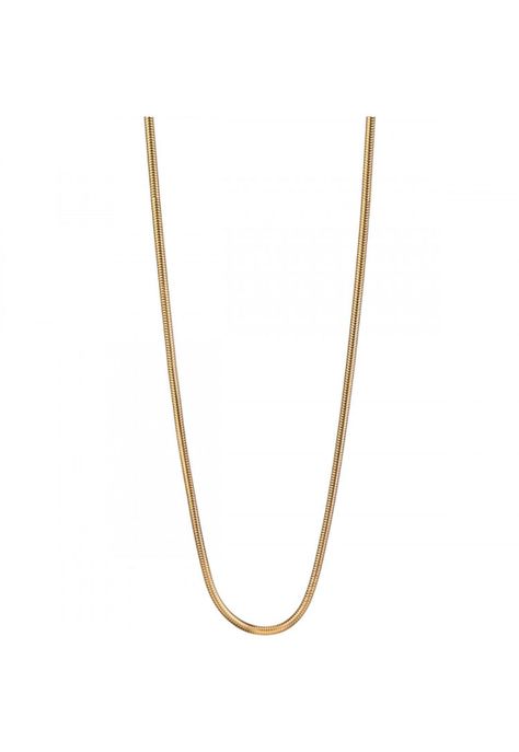 Collar Bering 424-20-500 Dorado-1