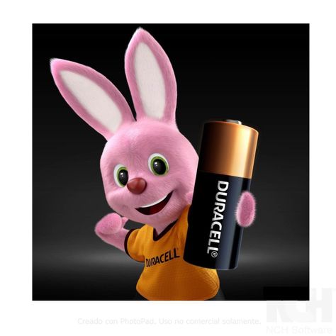 Pila Duracell Alcalina 12v 21/23 Mn21/A23 -1