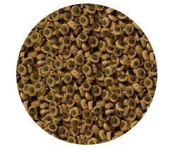 Alimento Reptiles, Sera Reptil Herbivor Nat 1000ml 330 Gr-1