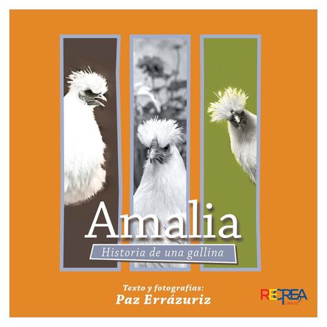 LIBRO INFANTIL AMALIA. HISTORIA DE UNA GALLINA-0