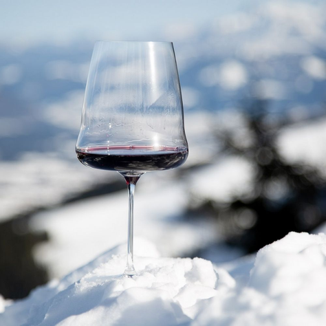 RIEDEL COPA WINEWINGS CABERNET/MERLOT-2