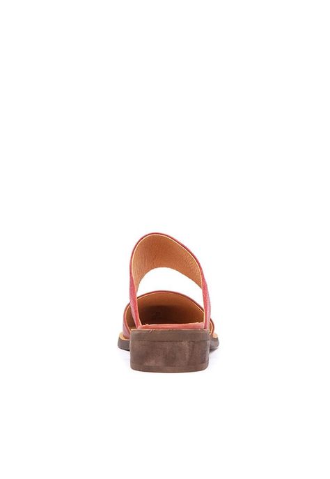 Babucha Mujer / Gaviota Coral-5