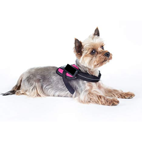 ARNES K9 (S) ROJO-3