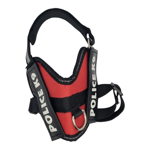 ARNES K9 (M) ROJO-1