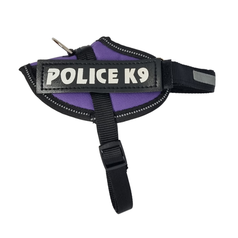 ARNES K9 (S) MORADO-3