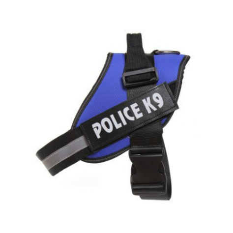 ARNES K9 (L) AZUL-1