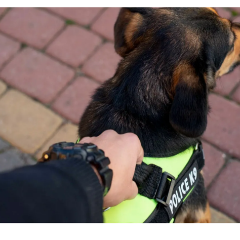ARNES K9 (XL) ROSA-1