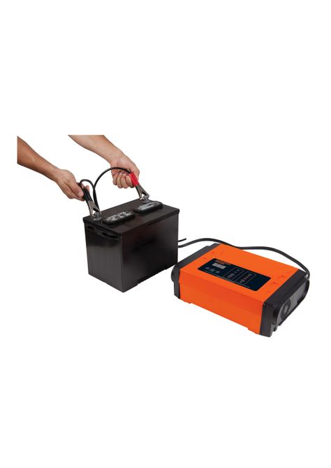 Cargador de baterías 2 / 8 / 12Amp-3