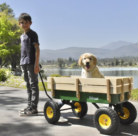 CARRITO DE ARRASTRE WAGON VERDE KIDSCOOL-3